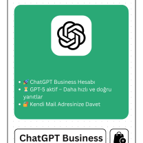 ChatGPT Business Plus GPT-5.2