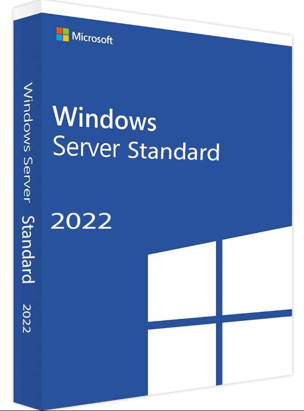Windows Server 2022 Standard Lisans