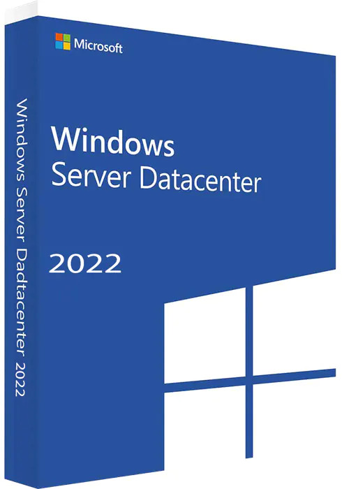 Windows Server 2022 Datacenter Lisans