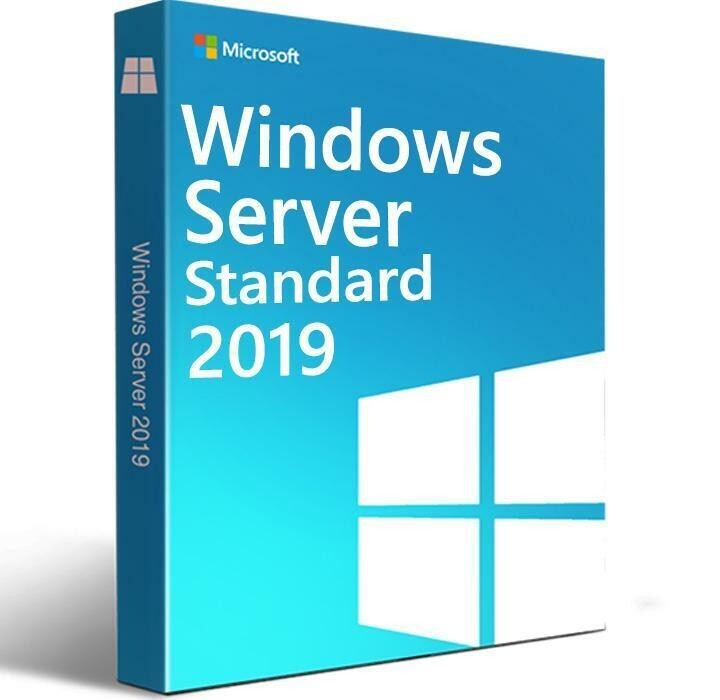 Windows Server 2019 Standard Lisans