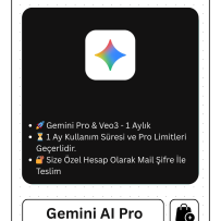 Gemini Pro & Veo3 - 1 Aylık